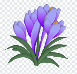 Pochoir, dessin, violet, plante herbacée PNG