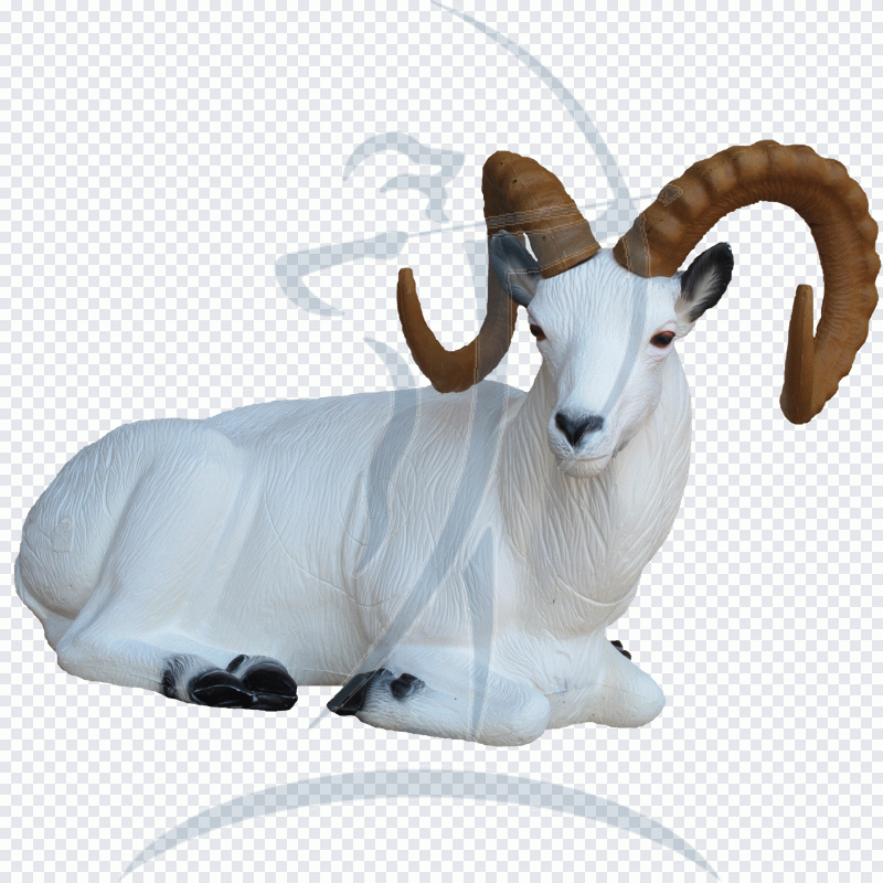 Chèvre, mouton, corne, animal, animaux PNG