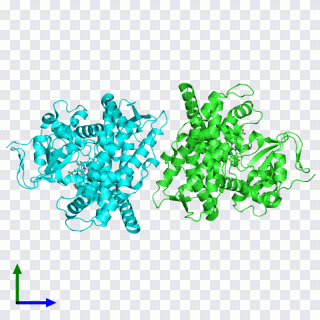 Protein Data Bank in Europe (PDBe) PNG