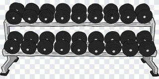 Halter, boliche, tigela, móveis, fitness PNG