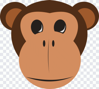 Primate, animaux, singe, nez, tête PNG