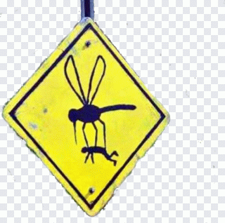 Humor, Insekt, Zeichen, Tier, Schild PNG
