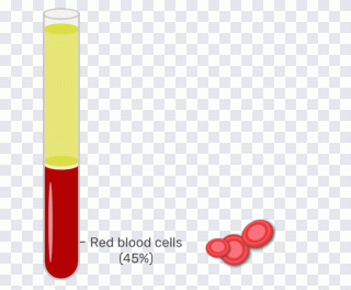 Red blood cell Whole blood, blood, glass PNG