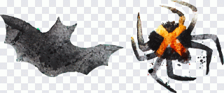 Araña, murciélago, halloween, tinta PNG