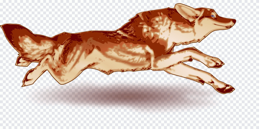 Renard, course à pied, animal, fourrure PNG