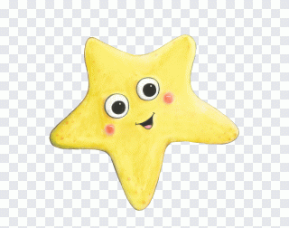 Marine invertebrates Starfish Echinoderm PNG