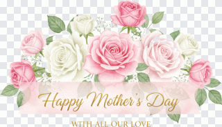 Mother's day blooming roses, script PNG