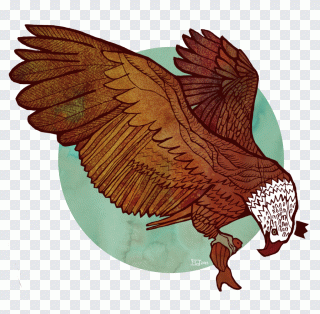 Eagle Art museum Fire and Blood Animal PNG