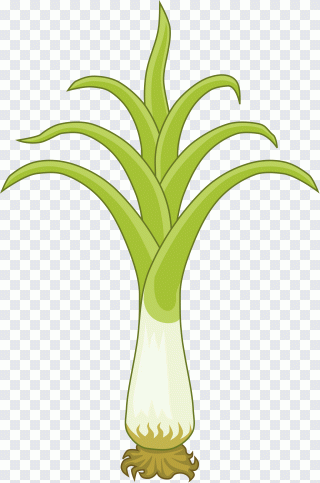 Symbole, feuille, tige, plante, herbe PNG