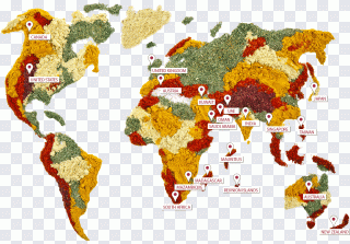 Gewürz, Kraut, Weltkarte, Karte, Welt PNG