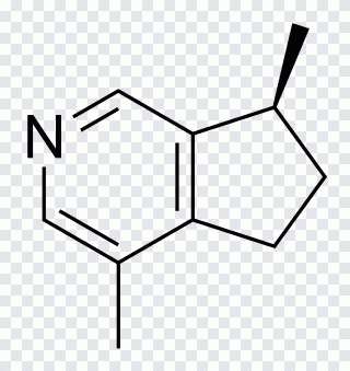 Organic acid anhydride Simple aromatic ring PNG