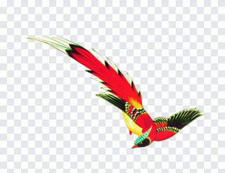 Canard, oiseau, dessin animé, animaux PNG