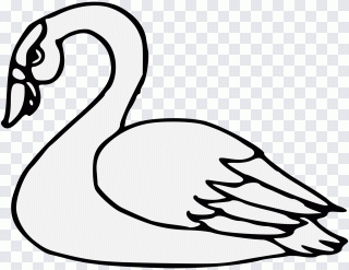 Ganso, pato, pássaro, branco, rosto PNG