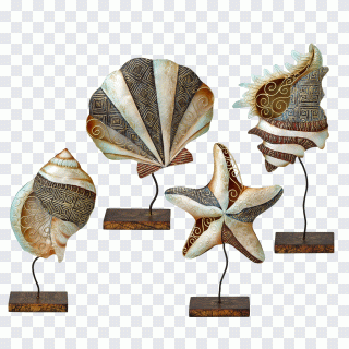 Seestern, Muschel, Meer, Tiere, Zimmer PNG