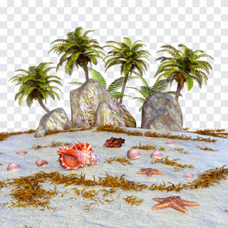 Praia, mar, ilha, areia, estrela-do-mar PNG