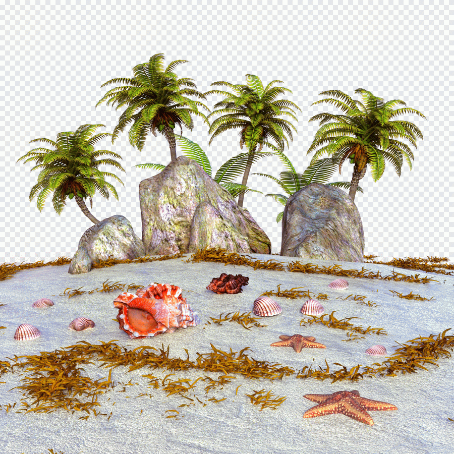 Praia, mar, ilha, areia, estrela-do-mar PNG