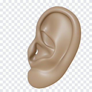 Oreille, image 3d, tête, lever de soleil PNG