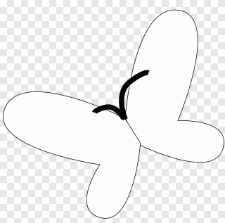Mariposa, oreja, blanco, hoja, insecto PNG