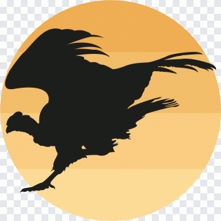 Swan goose, running wild goose, animals PNG