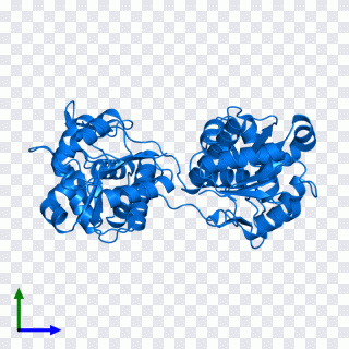 Azul, texto, azul elétrico PNG