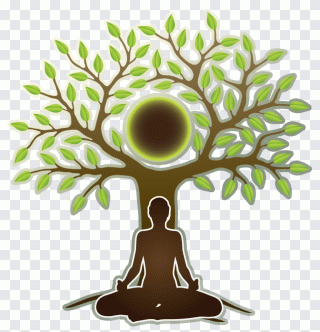 Vie, terre, branche, arbre, nature PNG