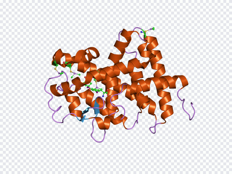 Texto, proteína PNG