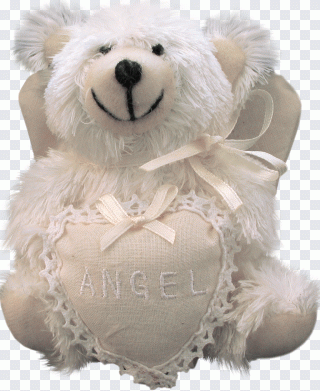 Plüsch, Teddybär, Bär, Spielzeug, Tiere PNG