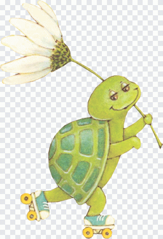 Meeresschildkröte, Schildkröte, Tier, Tiere PNG
