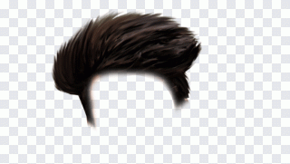 Edição, cabelo preto, PicsArt, vídeo HD PNG