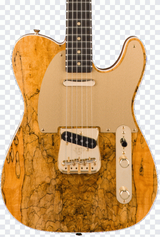 Guitare électrique, guitare, érable PNG