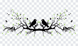 Tree, Bird, Spring, Branch, Nature PNG