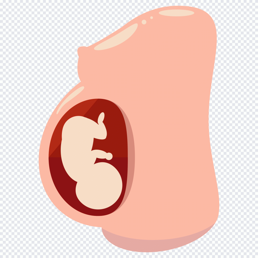 Icono PNG