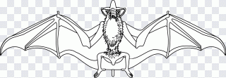 Animal, dibujo lineal, animales, atmósfera PNG
