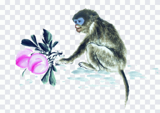 Zodiaco chino, rata, mono, chino, perro PNG