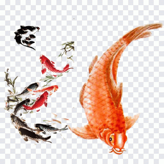 Koi fishes illustration, Koi Carassius PNG