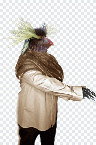 Feder, Kostümdesign, Kostüm, Tiere, Fell PNG