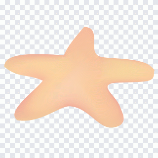 Estrela-do-mar, estrela, fino, animais, mão PNG