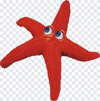 Estrela-do-mar, estrela, praia, pintado PNG