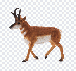 Corne, jouet, animal, jeu, bovidés PNG