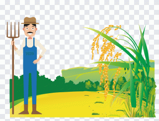 Arroz, paisaje, feliz cumpleaños, hierba PNG