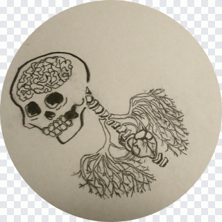 Calavera, dibujo, hueso, fantasía PNG