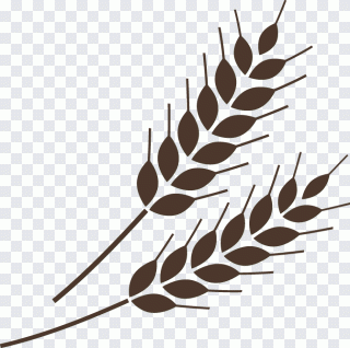 Pasta, Italien, Reis, Lebensmittel, Blatt PNG