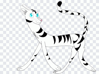 Animal de compagnie, chat, animal, blanc PNG