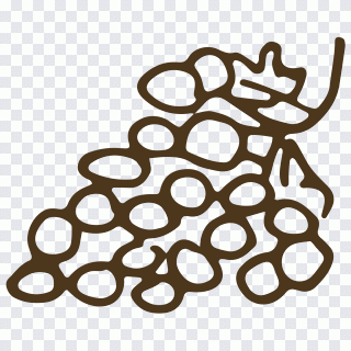 Grape Food Auglis, Hand painted food grapes PNG