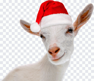 Yule Goat Christmas card Greeting & Note PNG