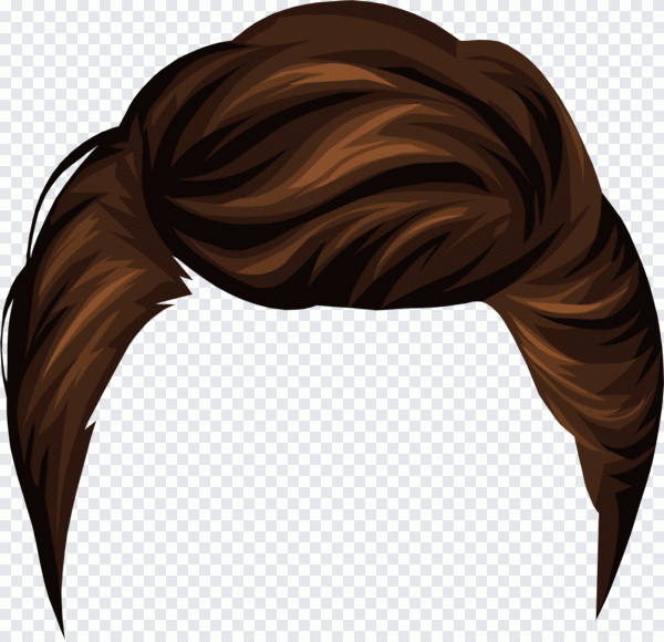 Peluca, peinado, pelo, personas PNG