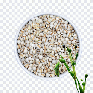 Lebensmittel, Natürlich, Reis, Superfood PNG