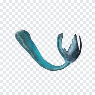 Meerjungfrau, Schwanz, blau, dekorativ PNG