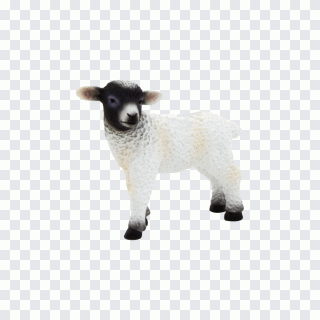 Chèvre, mouton, bovins, jeu, animal PNG