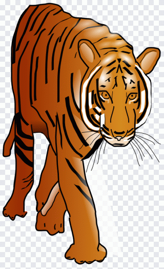 Tigre, gato, rugido, gran felino PNG